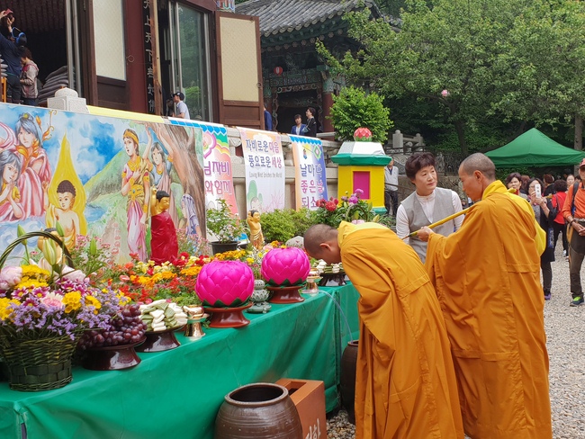 Partake in the Vesak Ceremony at Yonggungsa Cham Joeun Uri Temples